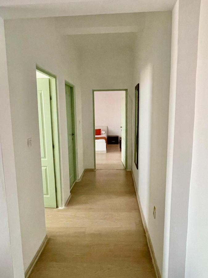 Hostel Cazino Nord Rooms Mamaja Zewnętrze zdjęcie